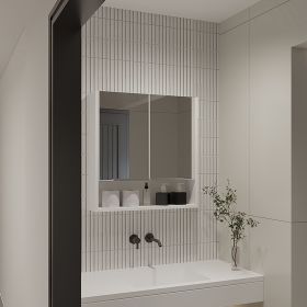 Ozark 24" Medicine Cabinet With Mirror, One Shelf